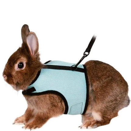 Pet Care.