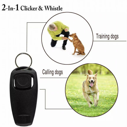 Pet Care Cartoz.