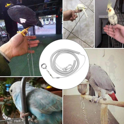 Parrot Leg Ring Anti Slip Bird Anklet Elastic Rope with Alloy Fasteners Supplies - 4mm.