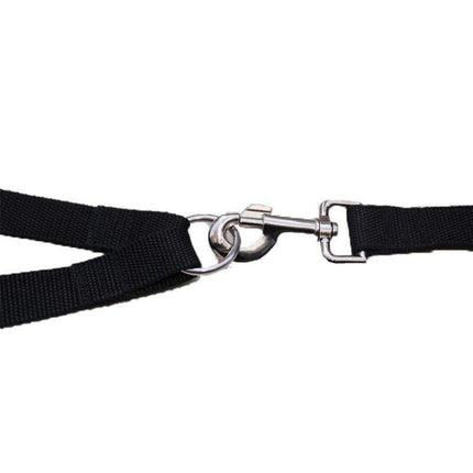 2 Way Double Dual Dog Leash Walk 2 Dogs With One Lead Coupler Nylon Harness - Blue.