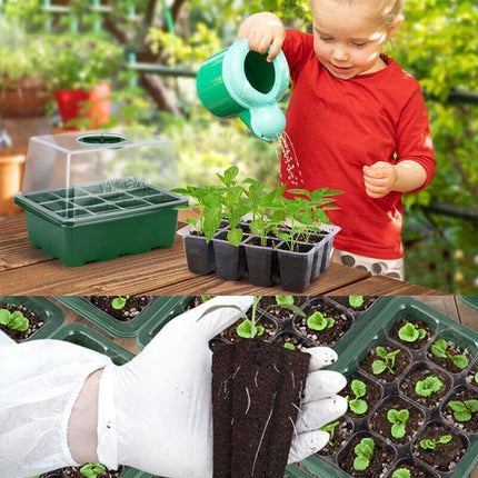 3/5/10 Set 12 Hole Plant Seed Grow Box Propagation Nursery Seedling Starter Tray - 3PCS.