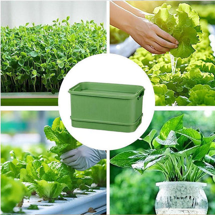 Seedling Tray Sprout Tray Soilless Hydroponic Planting Pot for Indoor Gardening - Green.