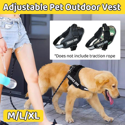 Pet Care Cartoz.