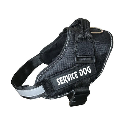 Pet Care Cartoz.