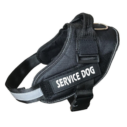 Pet Care Cartoz.