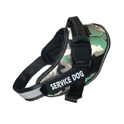 Pet Care Cartoz.