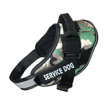 Pet Care Cartoz.