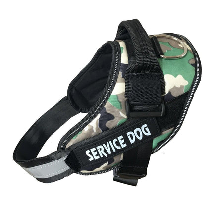 Pet Care Cartoz.
