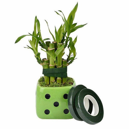 Home & Garden Cartoz.