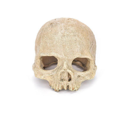 Artificial Fake Skull Head Bone Aquarium Ornament Fish Tank Decoration - Hat.