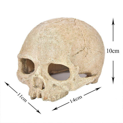 Artificial Fake Skull Head Bone Aquarium Ornament Fish Tank Decoration - Pirate.