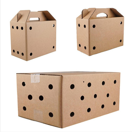 10PCS Disposable Cardboard Pet Carrier - 3 Sizes for Small Animals - 38*28*24CM.