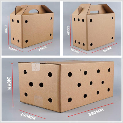 10PCS Disposable Cardboard Pet Carrier - 3 Sizes for Small Animals - 38*28*24CM.