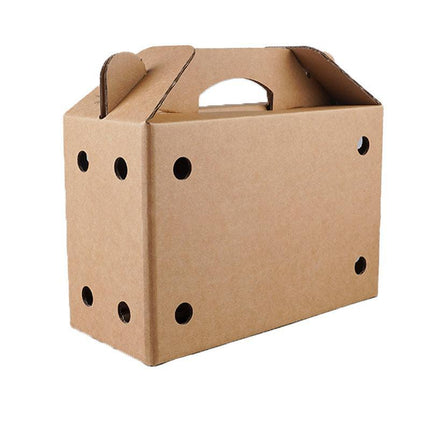 10PCS Disposable Cardboard Pet Carrier - 3 Sizes for Small Animals - 38*28*24CM.