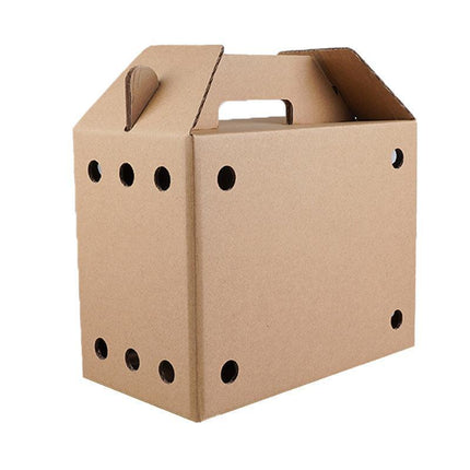 10PCS Disposable Cardboard Pet Carrier - 3 Sizes for Small Animals - 38*28*24CM.