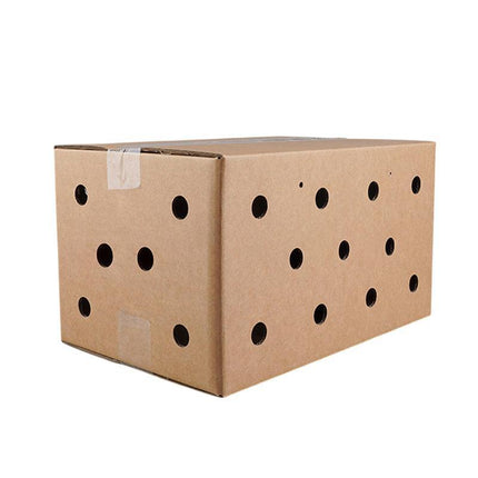 10PCS Disposable Cardboard Pet Carrier - 3 Sizes for Small Animals - 38*28*24CM.