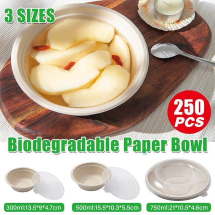 250PCS Food Preparation Burger Storages Cake Packaging Box Lunch Boxes Primary - Primary 750ml-PET lid.