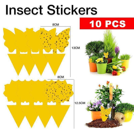 10X Dual Sided Sticky Trap Insect Killer Whitefly Thrip Fruit Fly Gnat - Butterfly 50PCS.