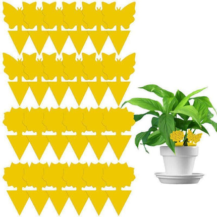 10X Dual Sided Sticky Trap Insect Killer Whitefly Thrip Fruit Fly Gnat - Butterfly 50PCS.