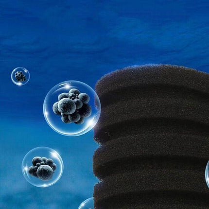 Double Head Aquarium Sponge Filter with Bio Media Box for Shrimp Breeding Tanks.