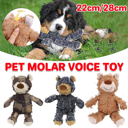 Pet Care Cartoz.