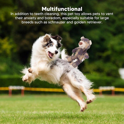 Pet Care Cartoz.
