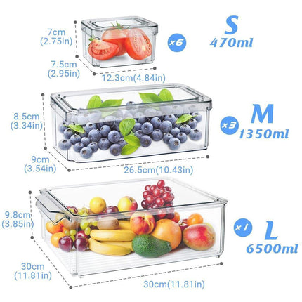 10PCS Clear PET Refrigerator Storage Box Food Grade Fruit Freezer Organizer Set.