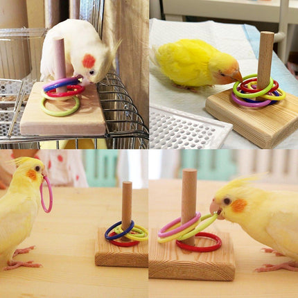 Parrot Chew Toys Interactive Bird Training Rings Set Pet Bird Intelligence Toys.