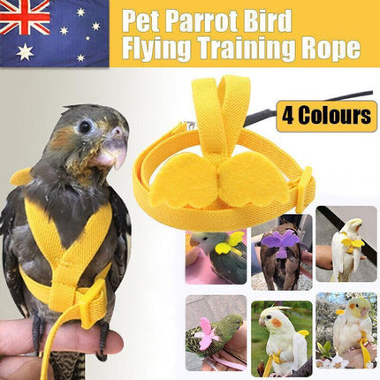 Pet Care.