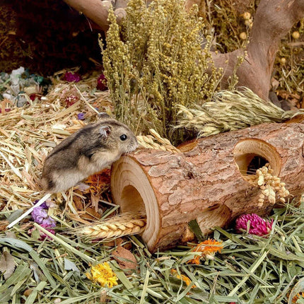 Solid Wood Hamster Pipe Rabbit Chew Toy Tree Cylinder Cross Border Pet Supplies.