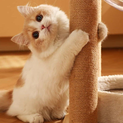 2pcs Sisal Cat Scratching Post Climbing Frame Replacement Pole for Cats Activity - 20cm.