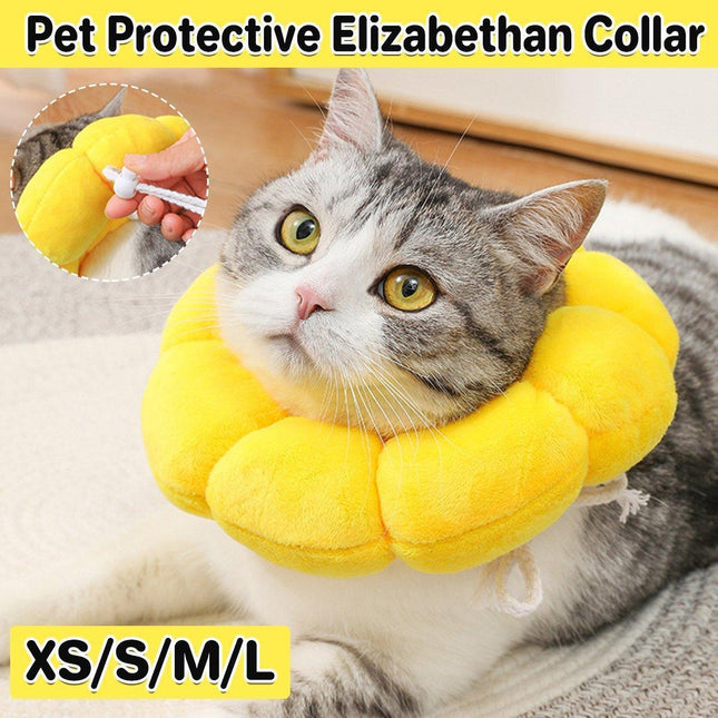 Pet Care.