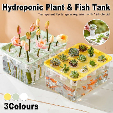 Transparent Rectangular Aquarium 12Hole Lid Portable Hydroponic Plant Fish Tank - Green.