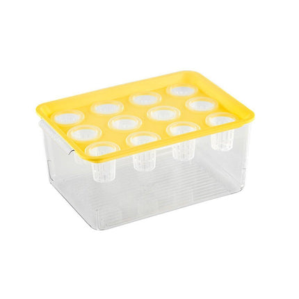 Transparent Rectangular Aquarium 12Hole Lid Portable Hydroponic Plant Fish Tank - Green.
