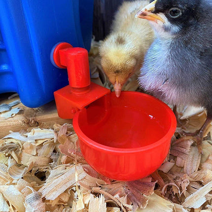 6x Automatic Chicken Water Cup Waterer Poultry Drinking Bowl Feeder Drinker Tool.