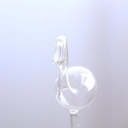 Automatic Self Plant Watering Glass Bulbs Water Feeder Indoor Irrigation Outdoor - Birdie.