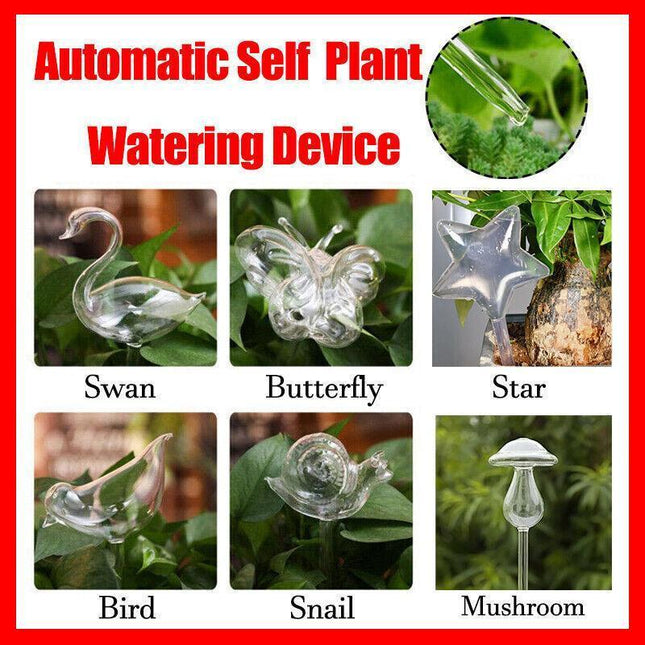 Automatic Self Plant Watering Glass Bulbs Water Feeder Indoor Irrigation Outdoor - Snail.