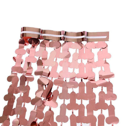 Metallic Tinsel Curtain 2m x 1m Hens Party Backdrop Foil Fringe Hanging Decor - Silver.