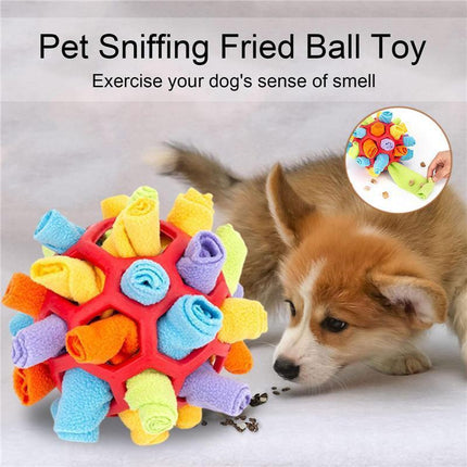 Pet Care Cartoz.