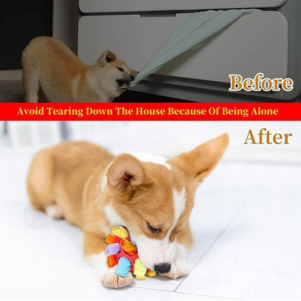 Pet Care Cartoz.