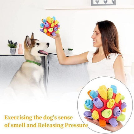 Pet Care Cartoz.