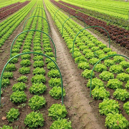 6PCS Greenhouse Plant Hoops Garden Tunnel Support for Row Covers and Netting.