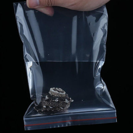 100X Bulk Clear Resealable PE Plastic Zip Bags - 4*6cm – 1PC Sample Only.