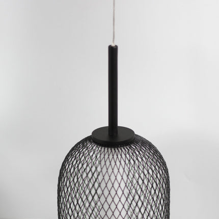 Balvir Pendant Light.