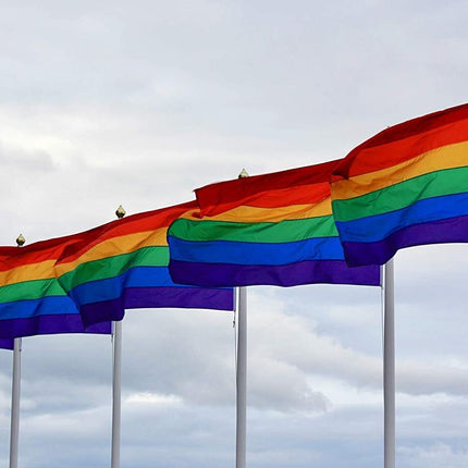 DELUXE RAINBOW GAY PRIDE FLAG Outdoor Banner 150x90cm 3x5ft with Metal Eyelets.