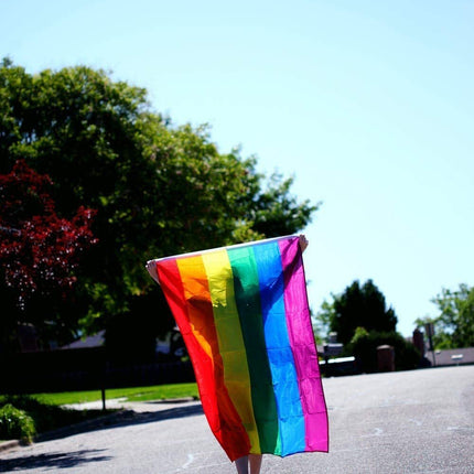 DELUXE RAINBOW GAY PRIDE FLAG Outdoor Banner 150x90cm 3x5ft with Metal Eyelets.
