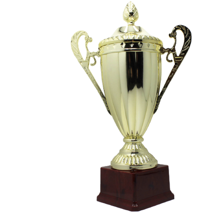 Large Classic Gold Trophy Cup Novelty Winners Prize Solid Achievement Award.