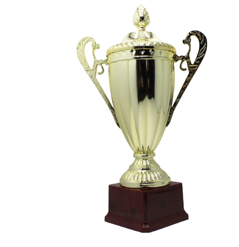 Large Classic Gold Trophy Cup Novelty Winners Prize Solid Achievement Award.