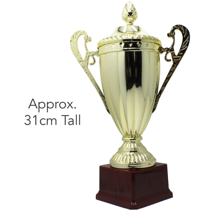 Large Classic Gold Trophy Cup Novelty Winners Prize Solid Achievement Award.