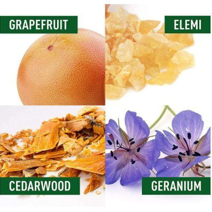 Health & Beauty.